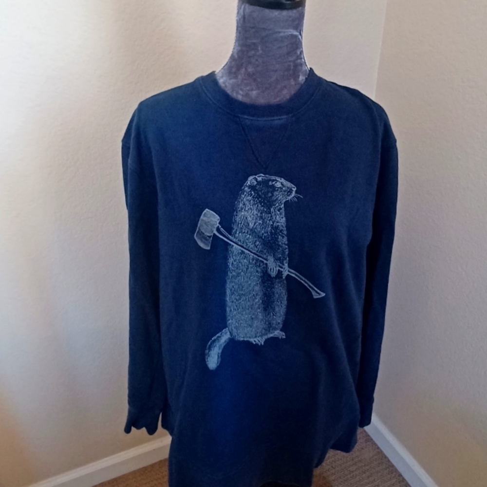 Busy beaver pullover top